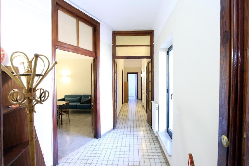 Sacconi Flat — Photos 3